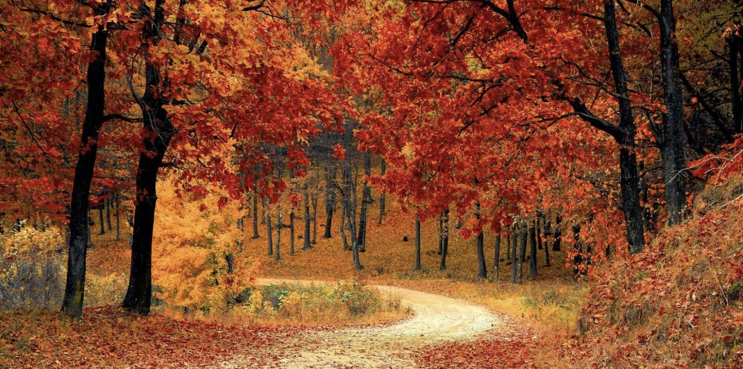 15 Fun Facts About Fall That’ll Leaf You Amazed